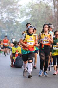 BIB: 16615, 15817, 1074
                            <button type="button" onclick="openModal(10414022)" class="btn btn-primary btn-sm float-right btn-popup" data-toggle="modal" data-target=".modal-high-quality">
                        <i class="fas fa-shopping-cart"></i> Add to Cart
                    </button>
                                            <button type="button" onclick="isThisMe(10414022, true)" class="btn btn-success btn-sm float-right btn-popup btn-isme hidden" data-toggle="tooltip" data-placement="bottom" title="นี่คือรูปของคุณใช่ไหม คลิกที่นี่เพื่อเอาเข้าอัลบั้ม">
                        <i class="fas fa-plus"></i> Add to album
                    </button>
                    <button type="button" onclick="isThisMe(10414022, false)" class="btn btn-warning btn-sm float-right btn-popup btn-isnotme hidden">
                        <i class="fas fa-ban"></i> Remove from album
                    </button>